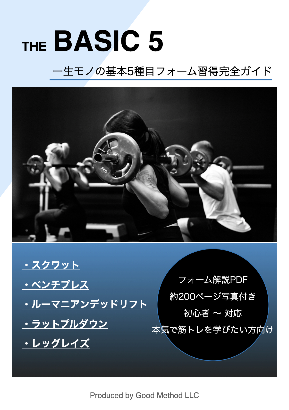 THE BASIC 5 フォーム解説PDF